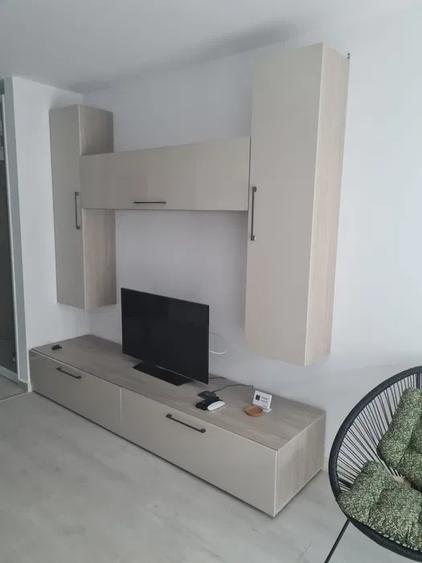 THEODOR PALLADY | HILS BRAUNER | CENTRALA | PARCARE | AC | METROU - 3