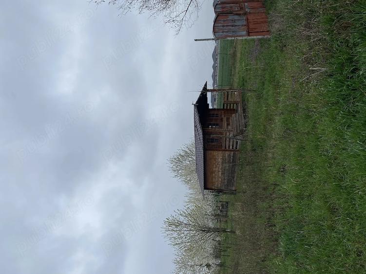 Teren de 5000 mp, în Lazuri