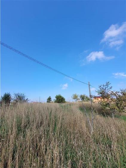 Teren Construcții intravilan de 801 mp, în Km 4-5