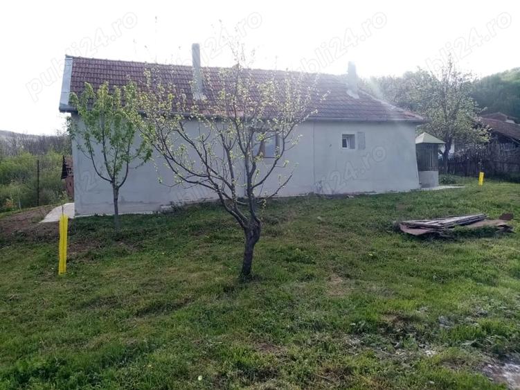 Casă cu 2 camere cu Teren 8000 Mp în Barbura