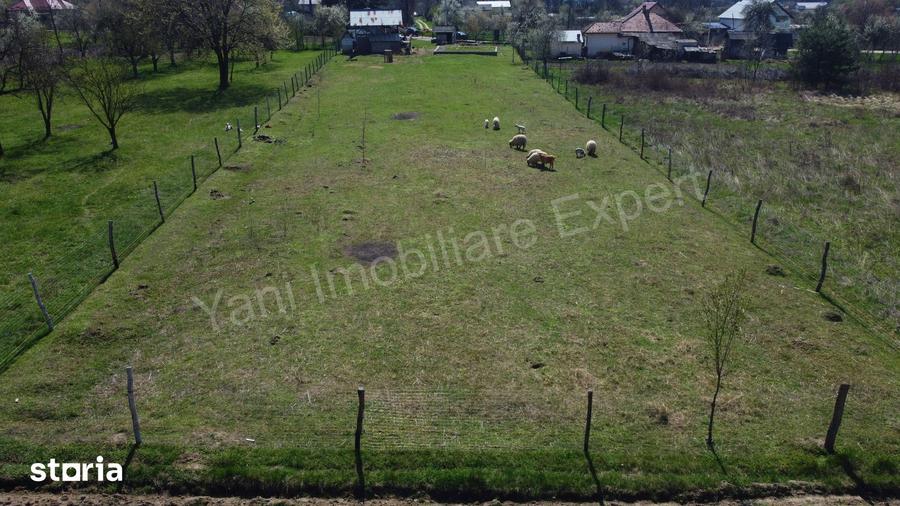 Teren de 2508 mp, în Băiculești