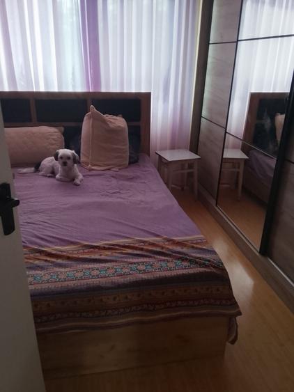 Apartament cu 3 camere decomandat în Hipodrom