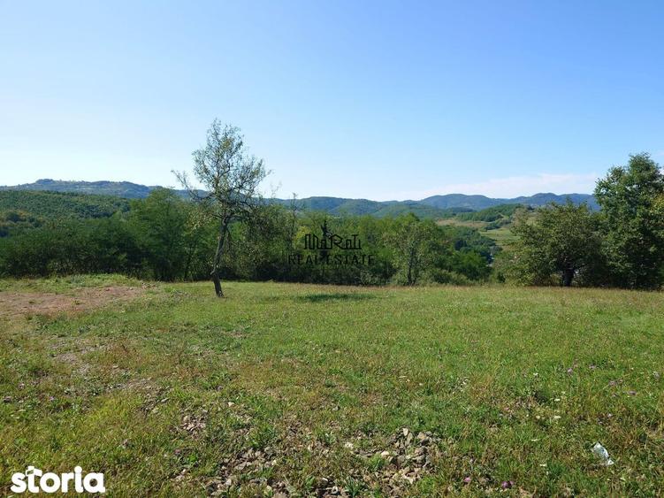 Teren de 8757 mp, în Luncoiu de Jos