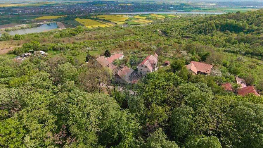 De vânzare casă și teren 1.425 mp - Podgoria - 14