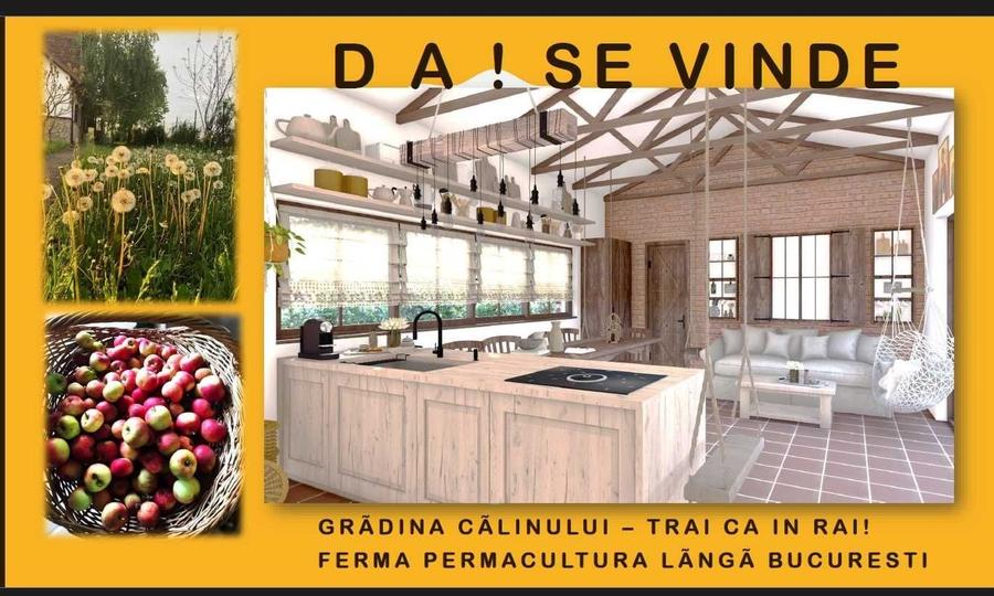 Casă cu 4 camere în Gruiu