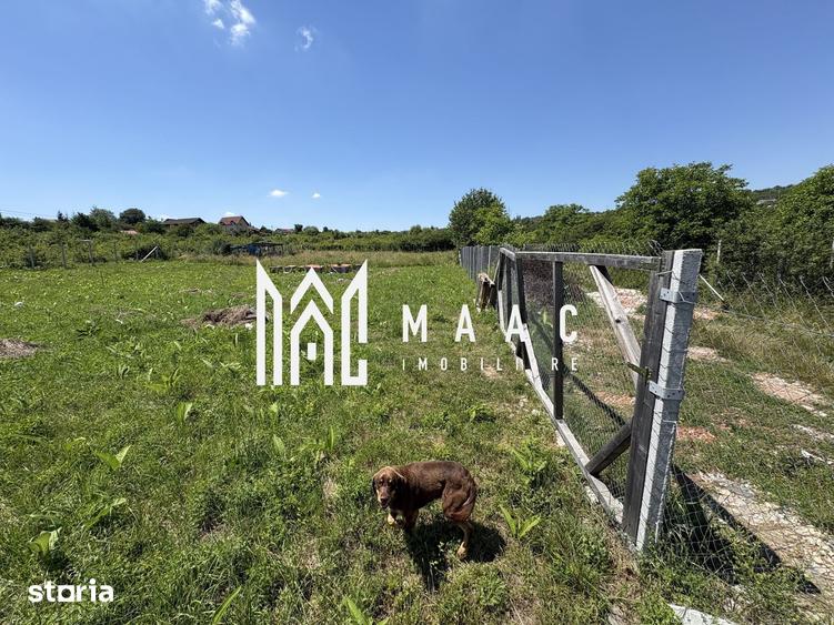 Teren de 500 mp, în Arpașu de Jos