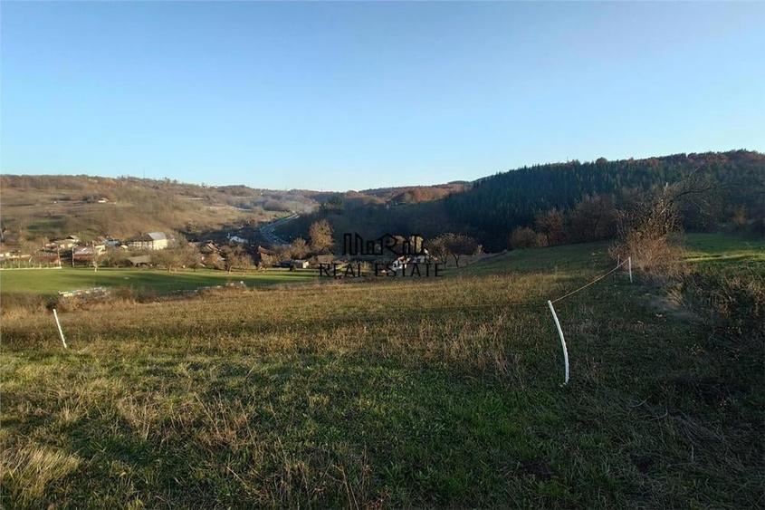 Teren de 3415 mp, în Luncoiu de Sus