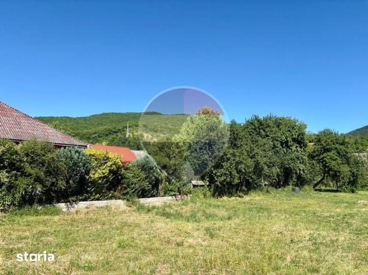 Teren de 3154 mp, în Bârsana