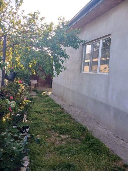 Casă cu 2 camere cu Teren 250 Mp în Tuzla