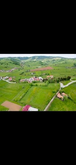 Teren Construcții intravilan de 6000 mp, în Barcani