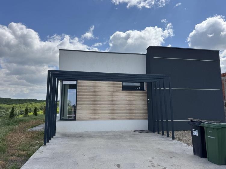 Casă cu 4 camere în Săldăbagiu de Munte