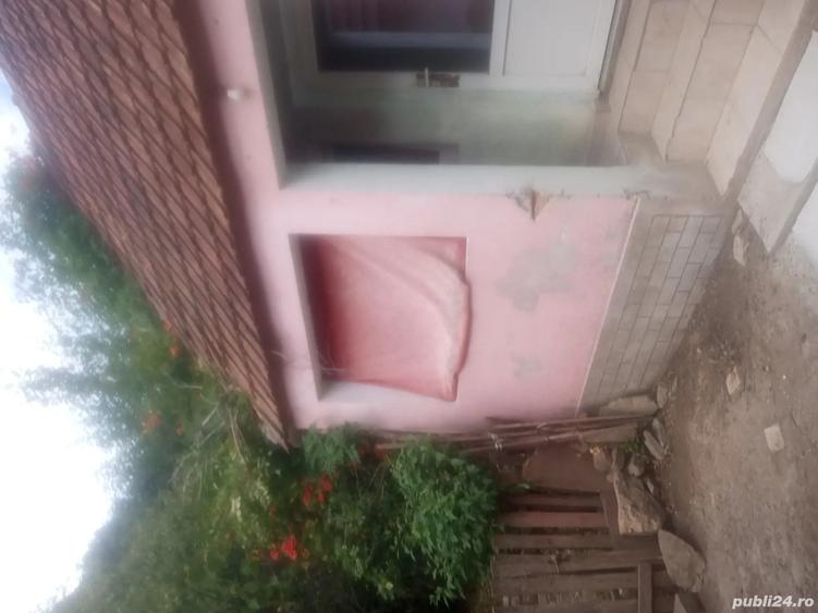 Casă cu 2 camere în Odvoș