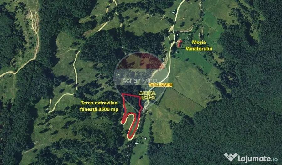 Teren 8500 mp, Valea Dalghiului - Vama Buzaului - vedere catre Ciuca? - Dalghiu (Brasov)