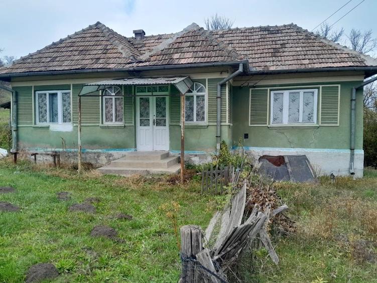 Casă cu 3 camere în Țentea