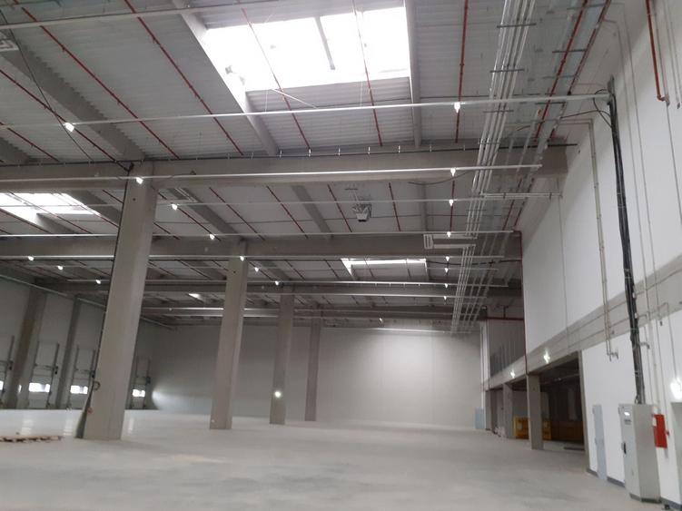 Spațiu industrial, de 3,000 mp, în Dragomirești-Vale