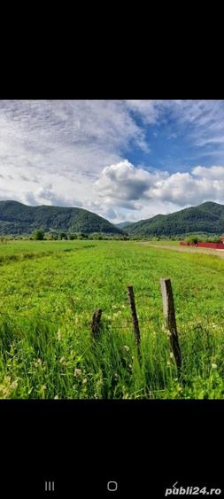 Teren de 3382 mp, în Viișoara