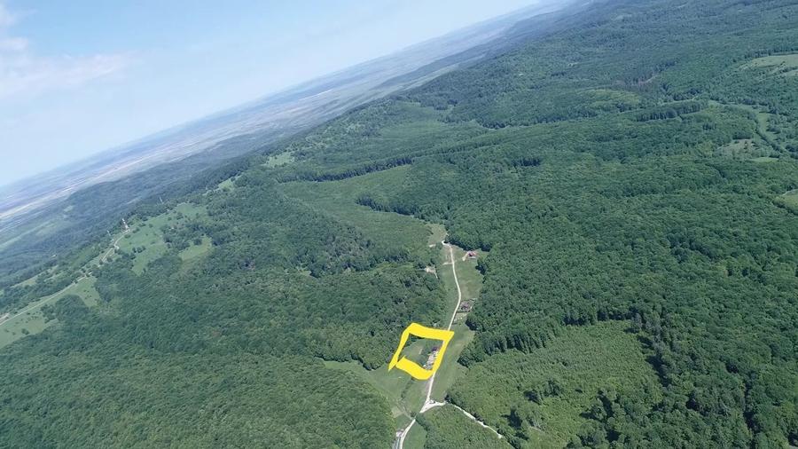 Proprietate specială, de 84 mp, în Dumbrăvița