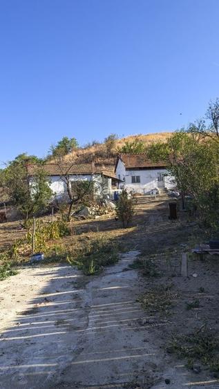 Vand casa Sat Cerneti