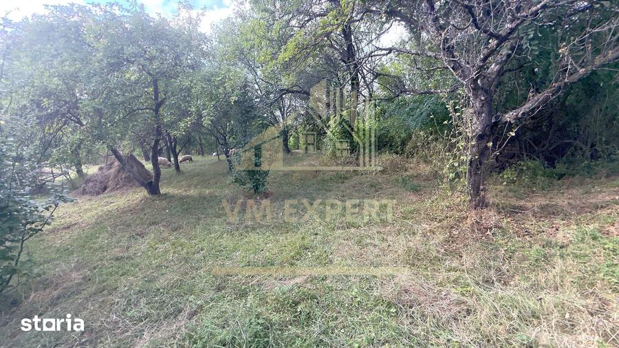 Casă cu 3 camere cu Teren 6660 Mp în Boteni