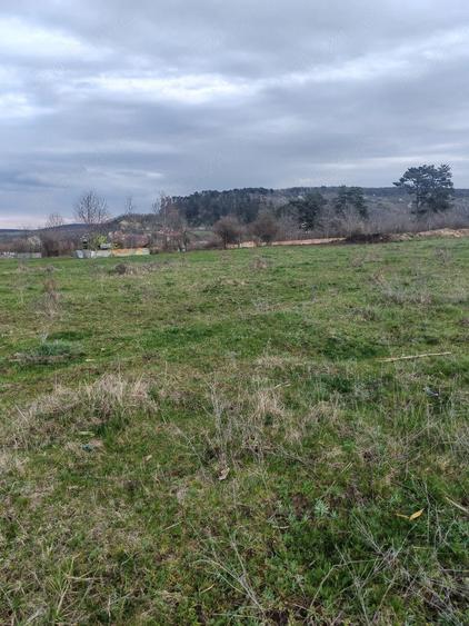 Teren de 2600 mp, în Apoldu de Sus