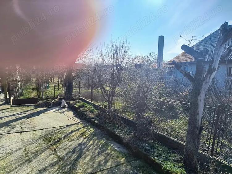 Casă cu 3 camere cu Teren 1200 Mp în Periam