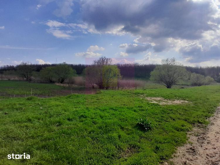 Teren de 3400 mp, în Buturugeni