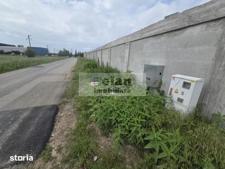 Teren de 3300 mp, în Ciolpani