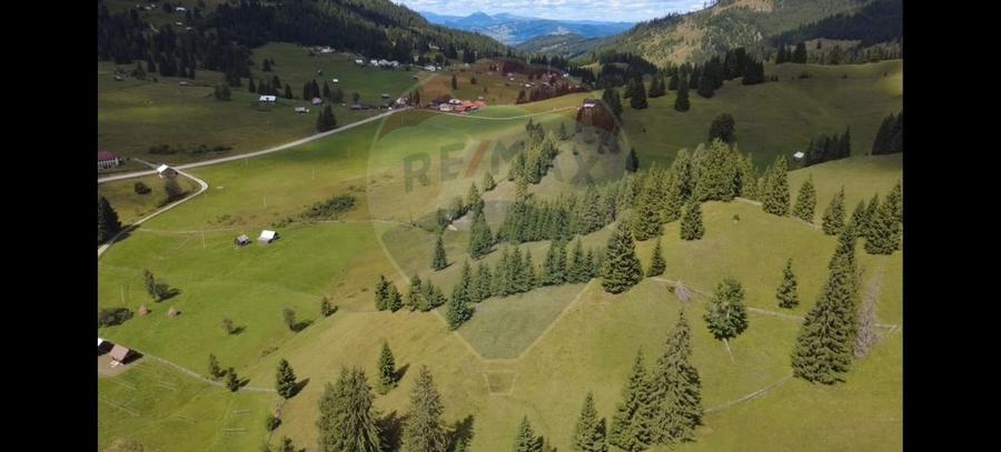 Teren agricol extravilan de 14318 mp, în Panaci