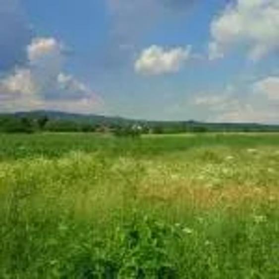 Teren de 3300 mp, în Urleta