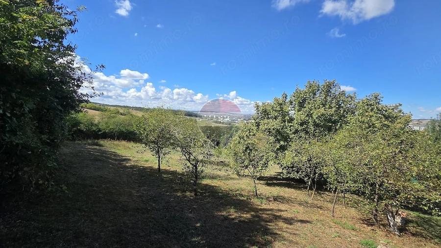 Casă cu Teren 4345 Mp în Calea Sighisoarei