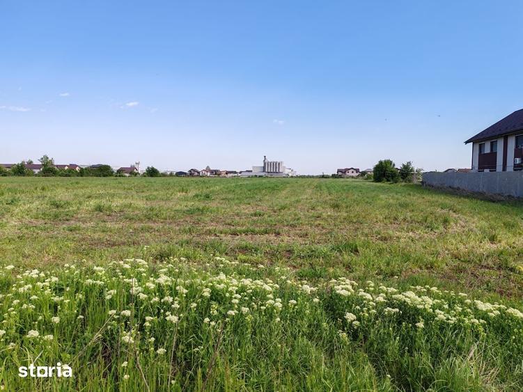Teren de 4200 mp, în Clinceni