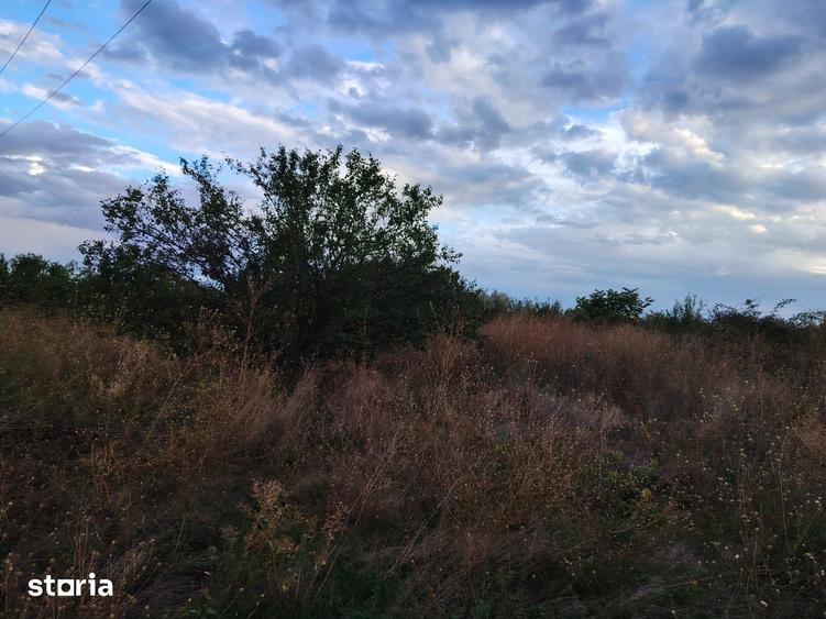 4 terenuri extravilane, 22.000 mp, in zona Verguleasa, langa Buzau - 1