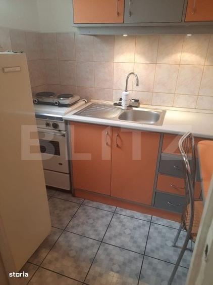 De vanzare apartament cu o camera Tudor, etaj intermediar - 2