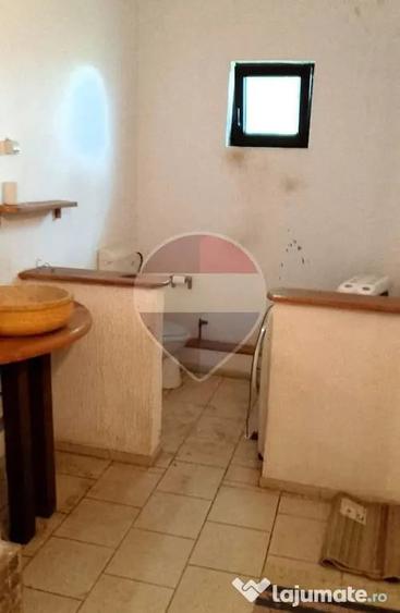 Casa de vanzare in Provita de Sus | Oportunitate de in... - 1