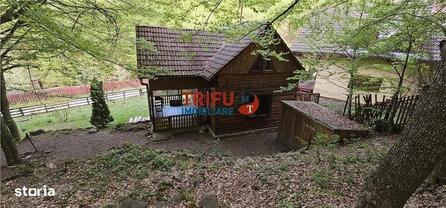 Casă cu 4 camere în Ighiel
