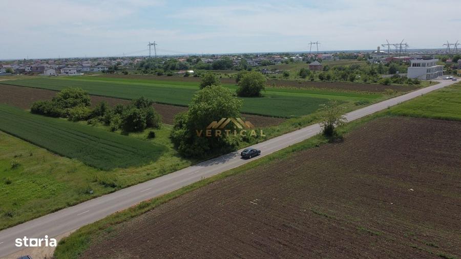 Teren intrare comuna Berceni, Codrului, 430 mp - 6