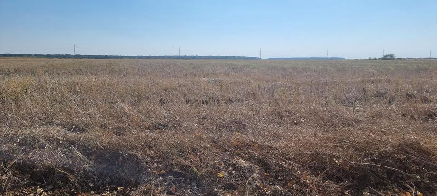 Teren agricol intravilan de 10000 mp, în Tâncăbești