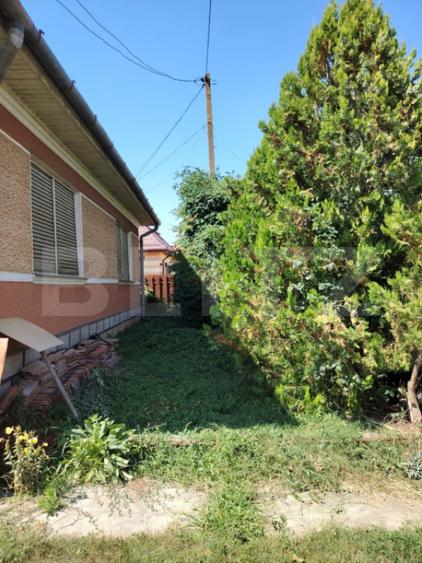 Casă cu 3 camere cu Teren 3900 Mp în Luna