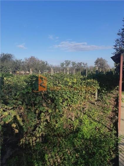 Casă individuală cu 4 camere cu Teren 2672 Mp în Râmnicelu
