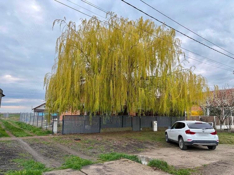 Casă cu Teren 550 Mp în Dudeștii Noi
