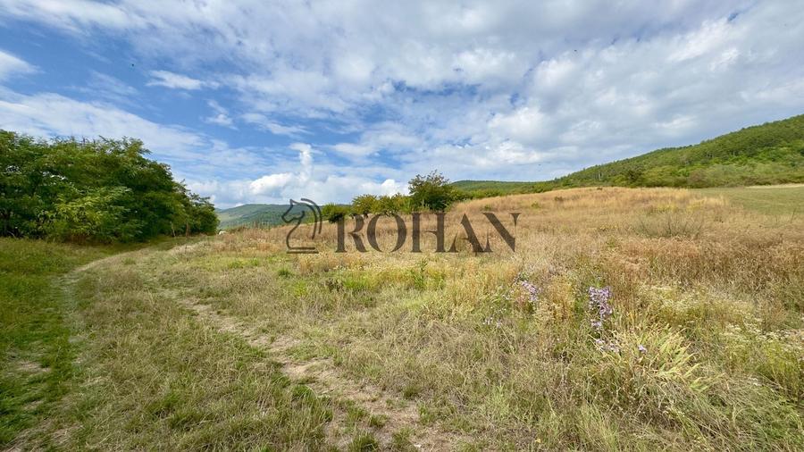 Teren agricol extravilan de 4000 mp, în Cricău