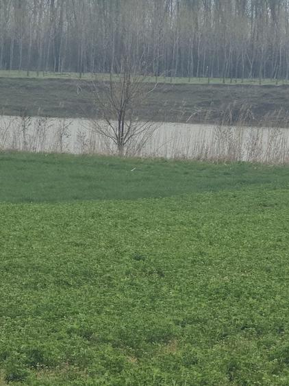 Spațiu comercial, în Dichiseni