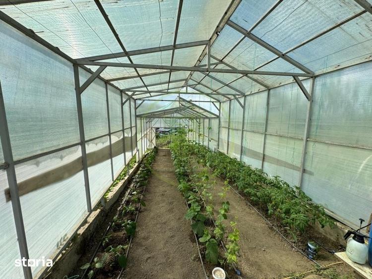 Casă cu 5 camere cu Teren 1400 Mp în Bonț