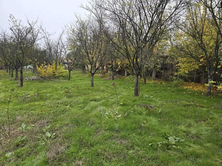 Vand 2 Case comuna Vedea judetul Giurgiu 4000m teren - 4