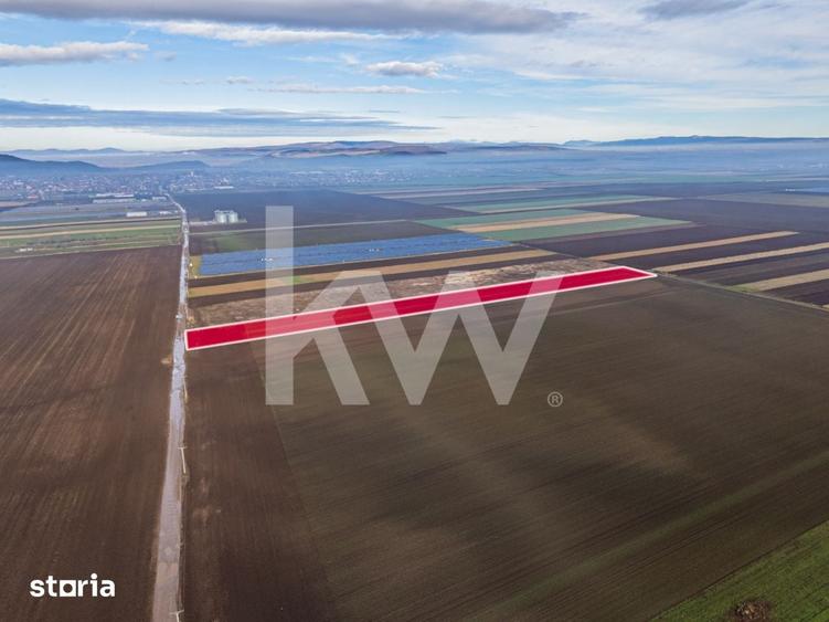 Teren de 16000 mp, în Hărmanului
