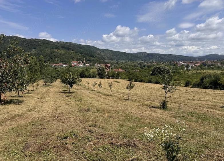 Teren de 4000 mp, în Central