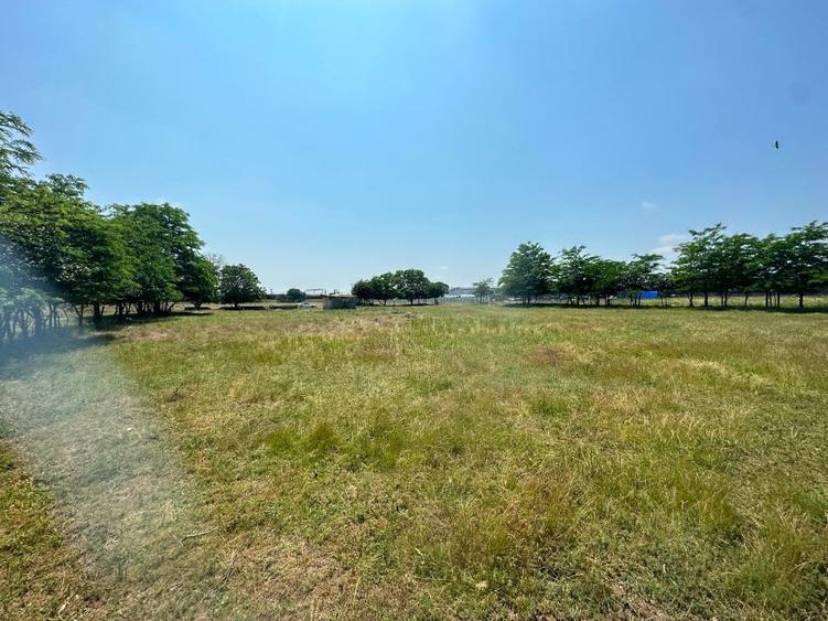 Teren Construcții intravilan de 5000 mp, în Palas