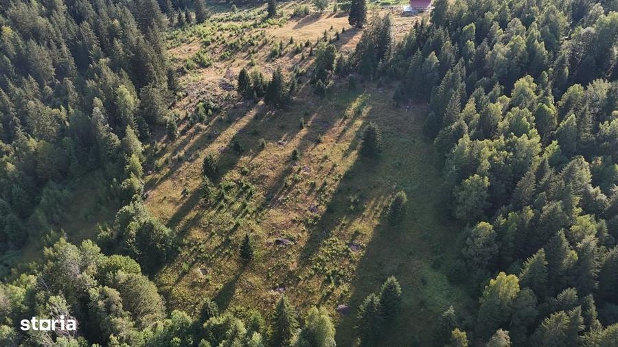 Teren de 15000 mp, în Câmpu lui Neag