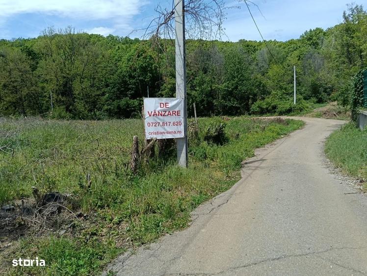 Spațiu comercial, în Țipărești