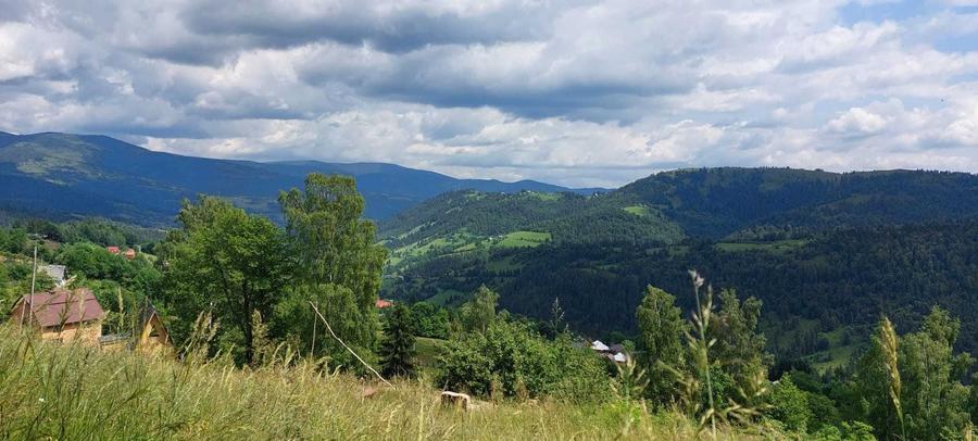 Teren de 2263 mp, în Horea